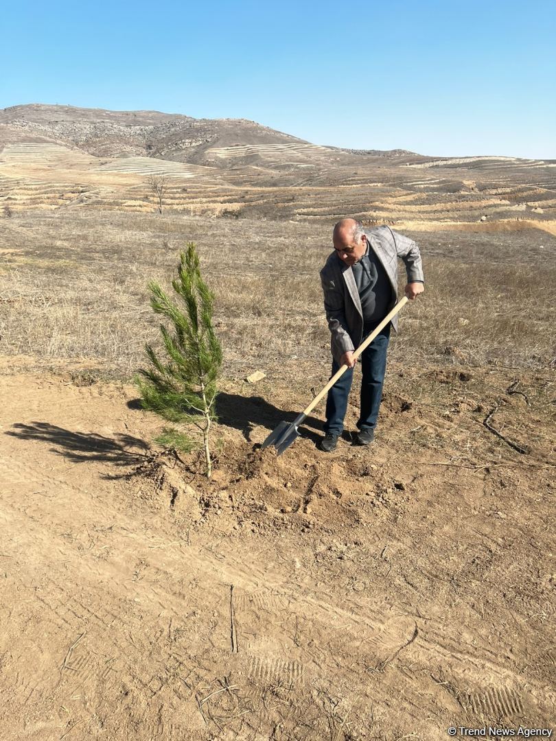 Media nümayəndələri Cəbrayılda meşə-park kompleksində ağac əkiblər (FOTO)