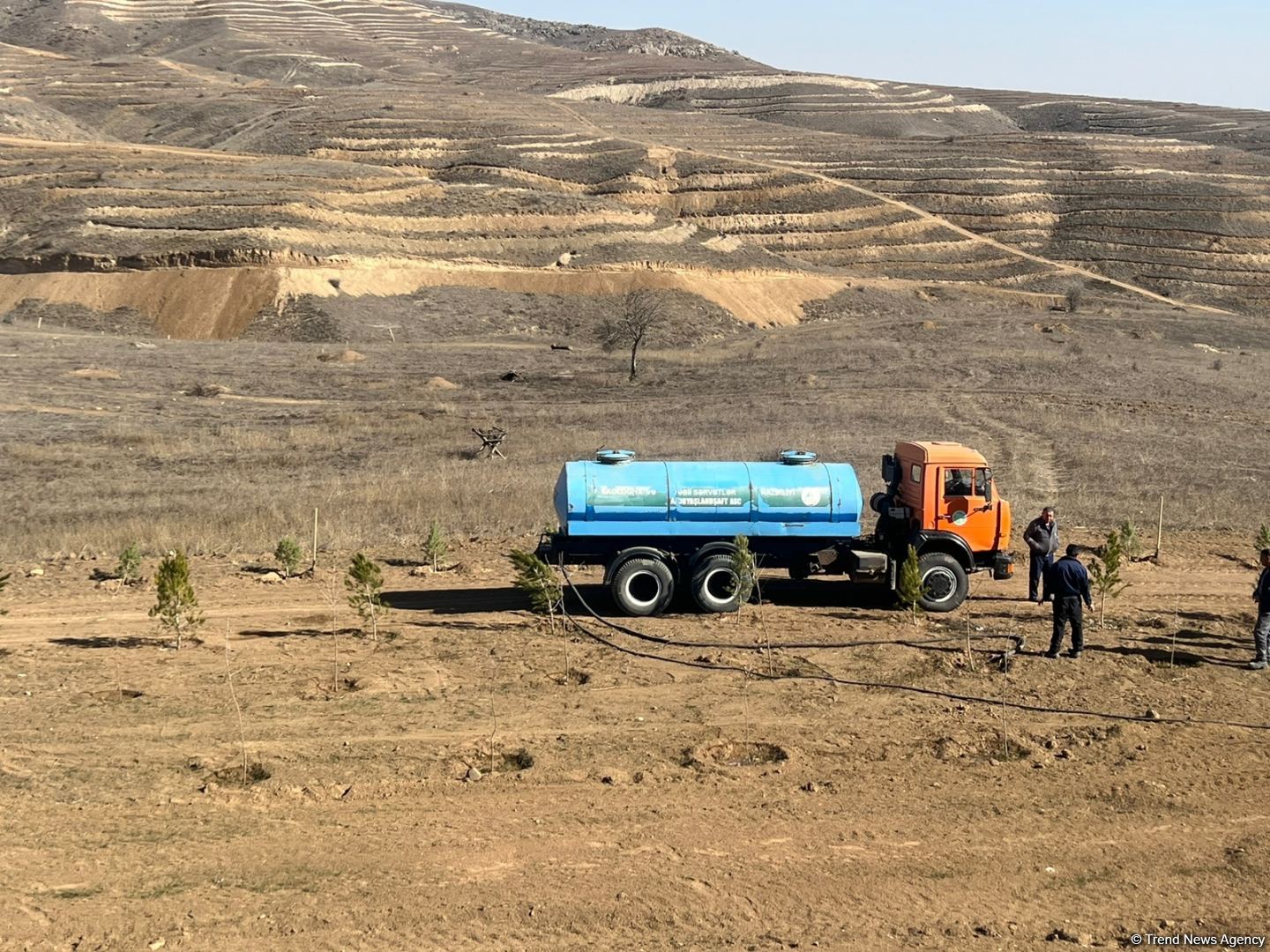 Media nümayəndələri Cəbrayılda meşə-park kompleksində ağac əkiblər (FOTO)