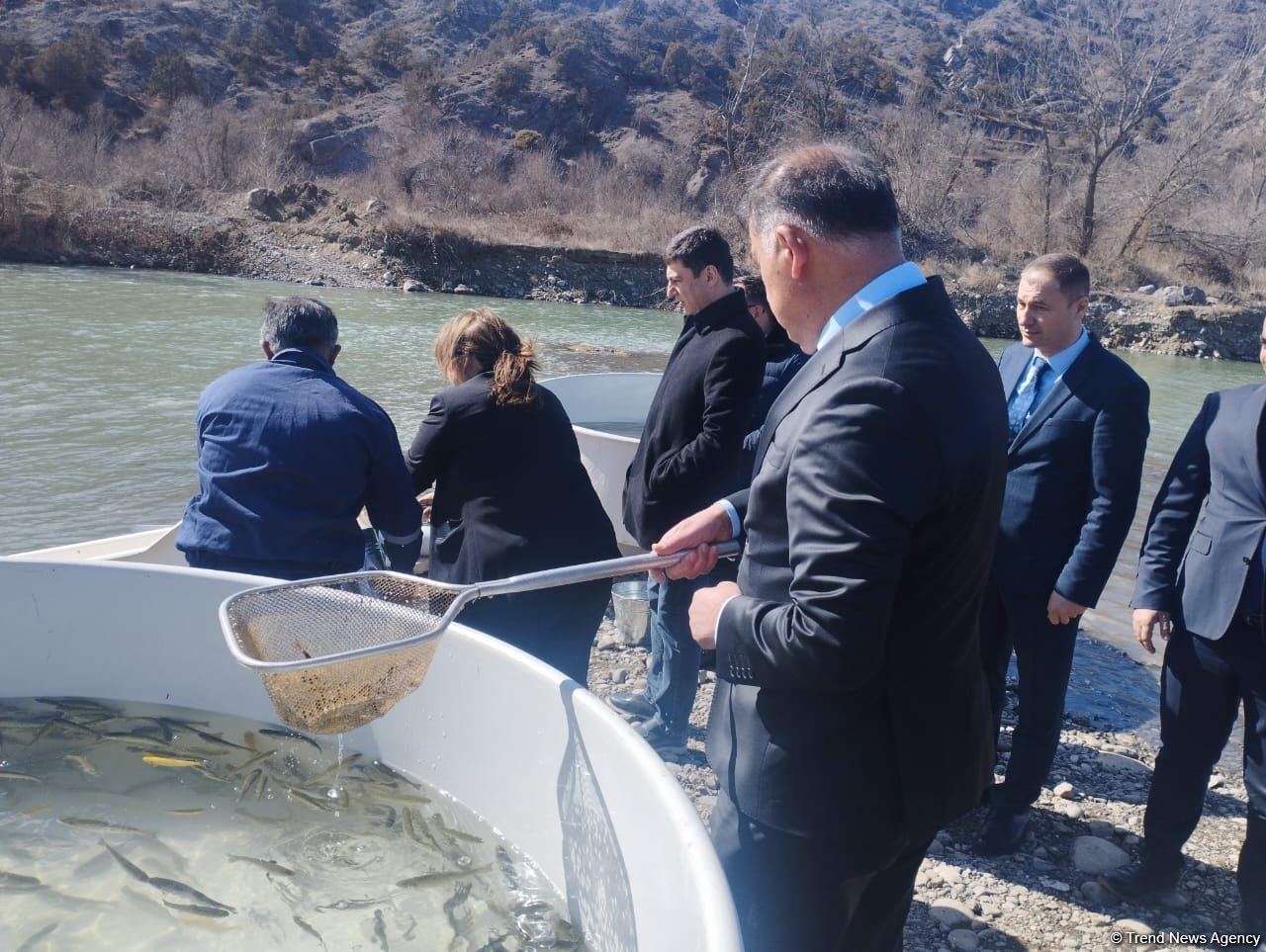 Həkəri çayına qızılxallı forel balıqları buraxılıb (FOTO)