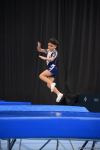 Bakıda batut gimnastikası və tamblinq üzrə Azərbaycan birinciliyinə və Bakı çempionatına start verilib (FOTO)