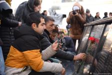 Azərbaycan ictimaiyyəti "Ana harayı" abidəsini ziyarət edir (FOTO)