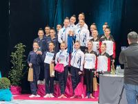 Gimnastlarımız Almaniyada keçirilən beynəlxalq turnirdə gümüş medal qazanıblar (FOTO)