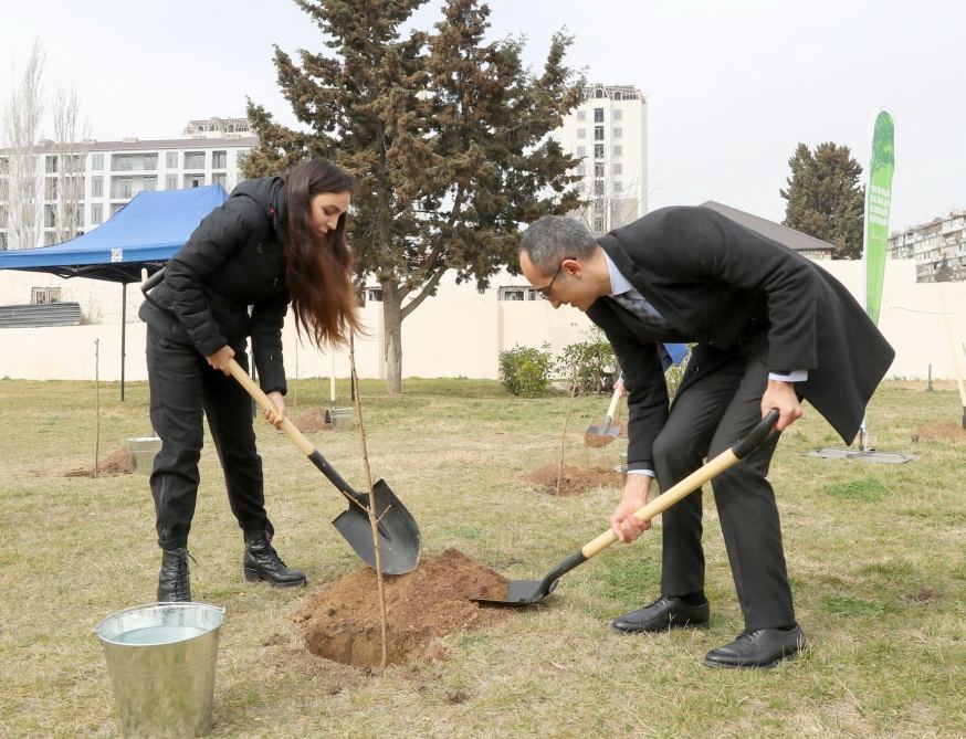 “Yaşıl Marafon 2023” ağacəkmə kampaniyasına start verilib (FOTO)