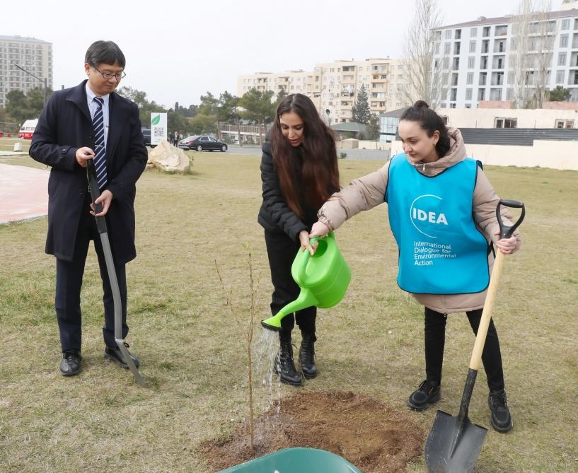 “Yaşıl Marafon 2023” ağacəkmə kampaniyasına start verilib (FOTO)