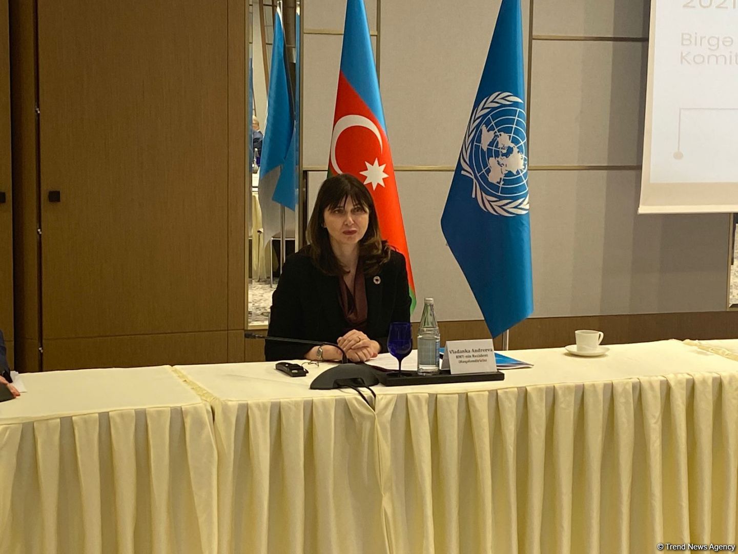 BMT-nin rezident əlaqələndiricisi Azərbaycanda bu il üçün nəzərdə tutulan tədbirlər planından danışıb