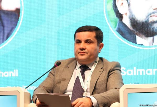 İsveç və Fransada islamofobiyanın təzahürləri artmaqdadır - Ombudsman Aparatının rəhbəri