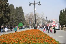 Bakı sakinləri Novruz bayramını qeyd edir - FOTOREPORTAJ