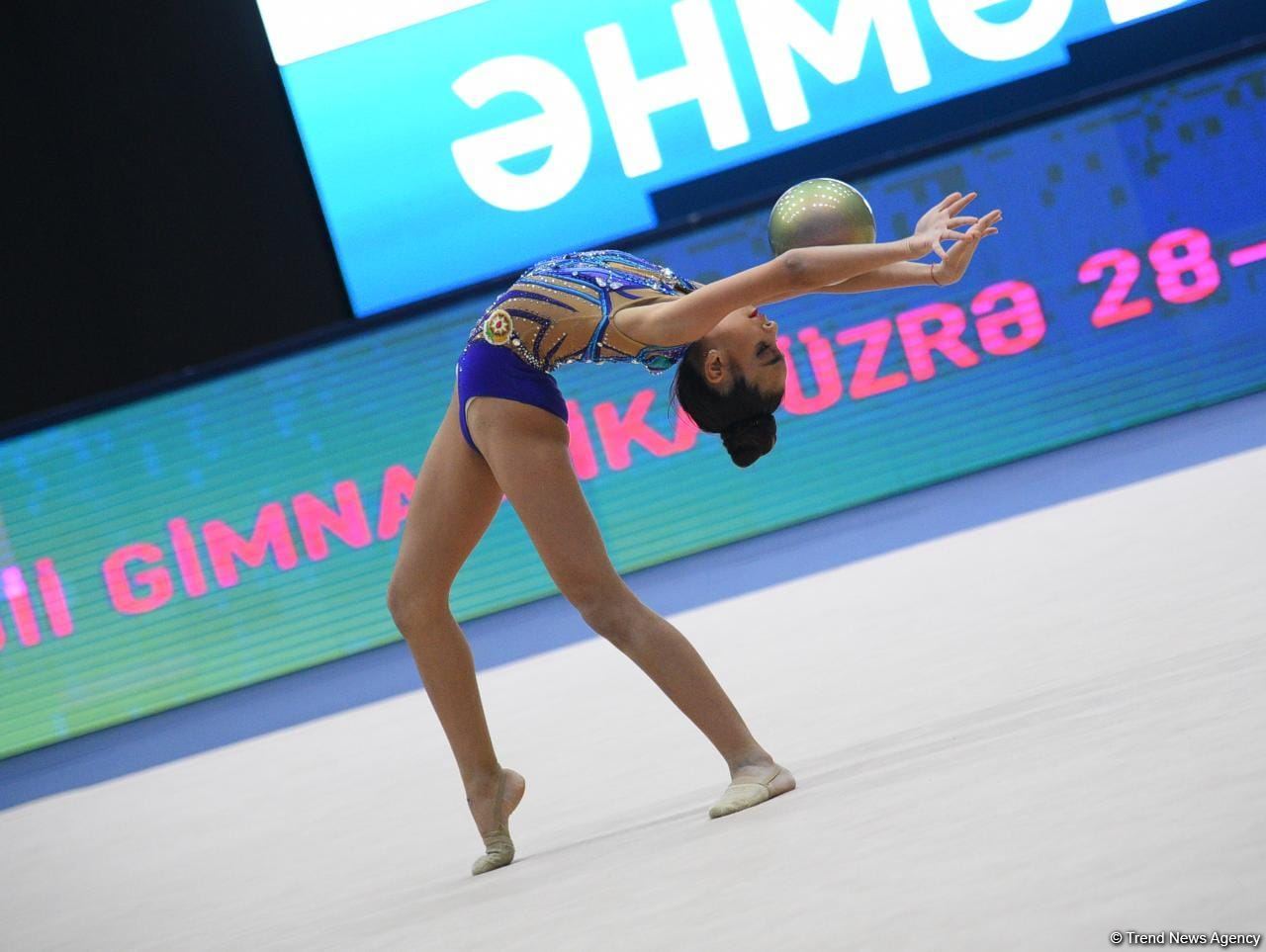 Bakıda bədii gimnastika üzrə 28-ci Azərbaycan çempionatı başlayıb (FOTO)