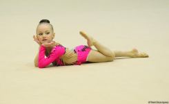 Bakıda “Ocaq Sport” klubunun bədii gimnastika üzrə 2-ci açıq birinciliyinə start verilib (FOTO)