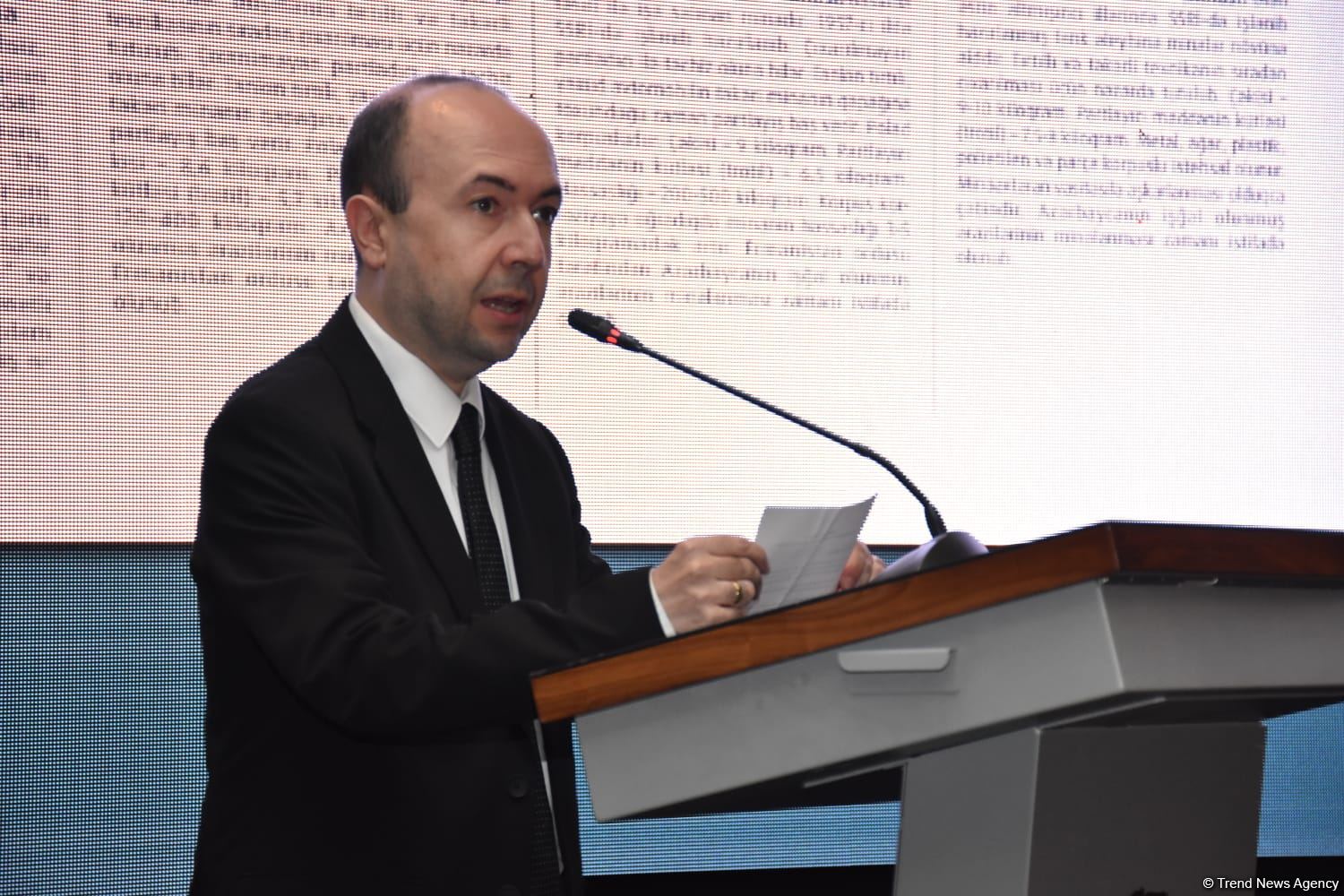 Minalar torpaqlarından didərgin düşən insanların qayıdışına mane olur - Nazir müavini
