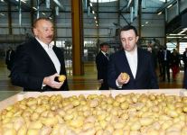 Prezident İlham Əliyev və Baş nazir İrakli Qaribaşvili Qəbələ Qida Şəhərciyində olublar (FOTO/VİDEO)