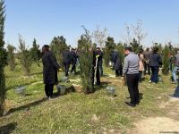 Ulu öndər Heydər Əliyevin 100 illiyinə həsr olunmuş ağacəkmə aksiyası keçirilib (FOTO)