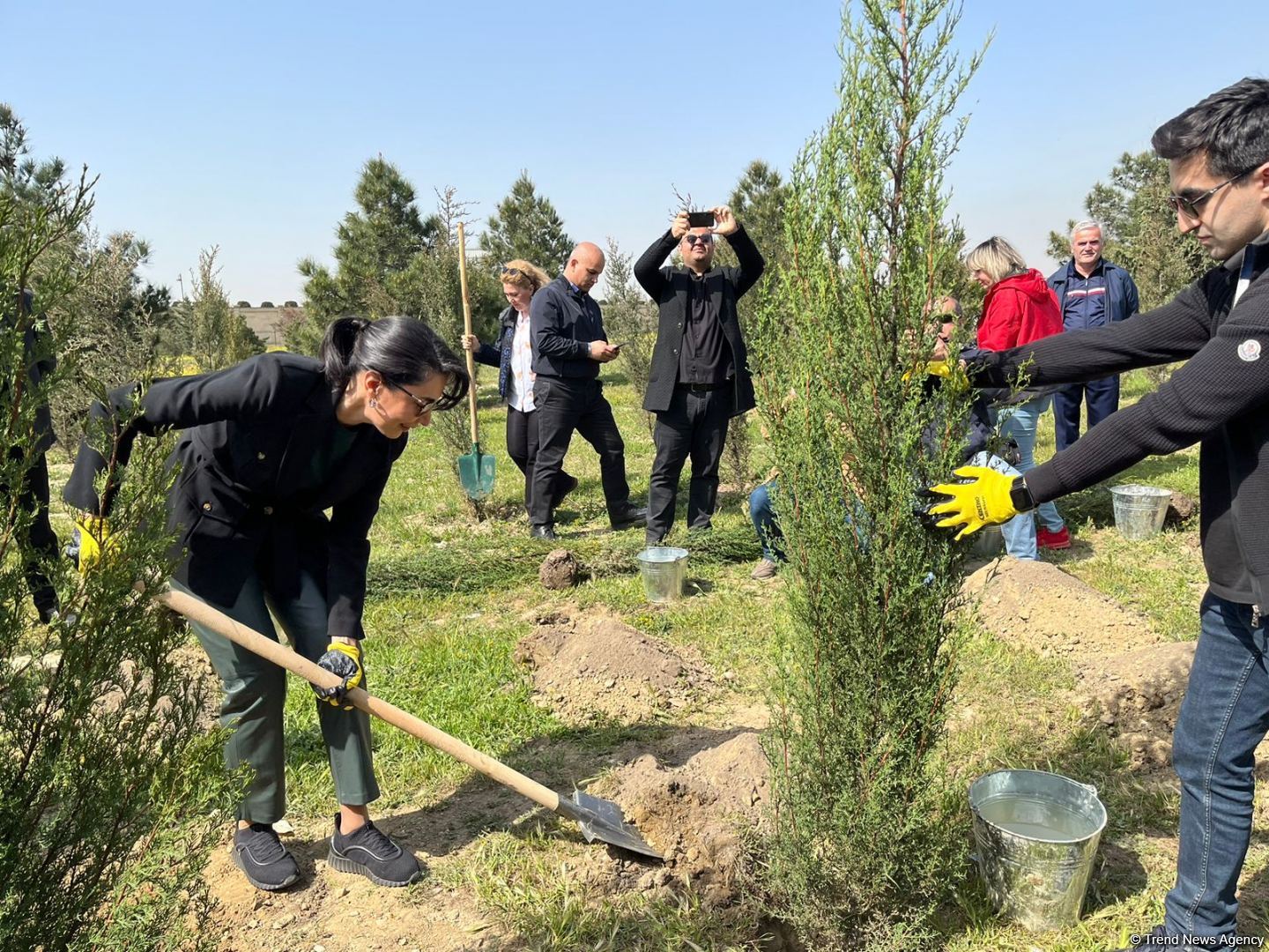 Ulu öndər Heydər Əliyevin 100 illiyinə həsr olunmuş ağacəkmə aksiyası keçirilib (FOTO)