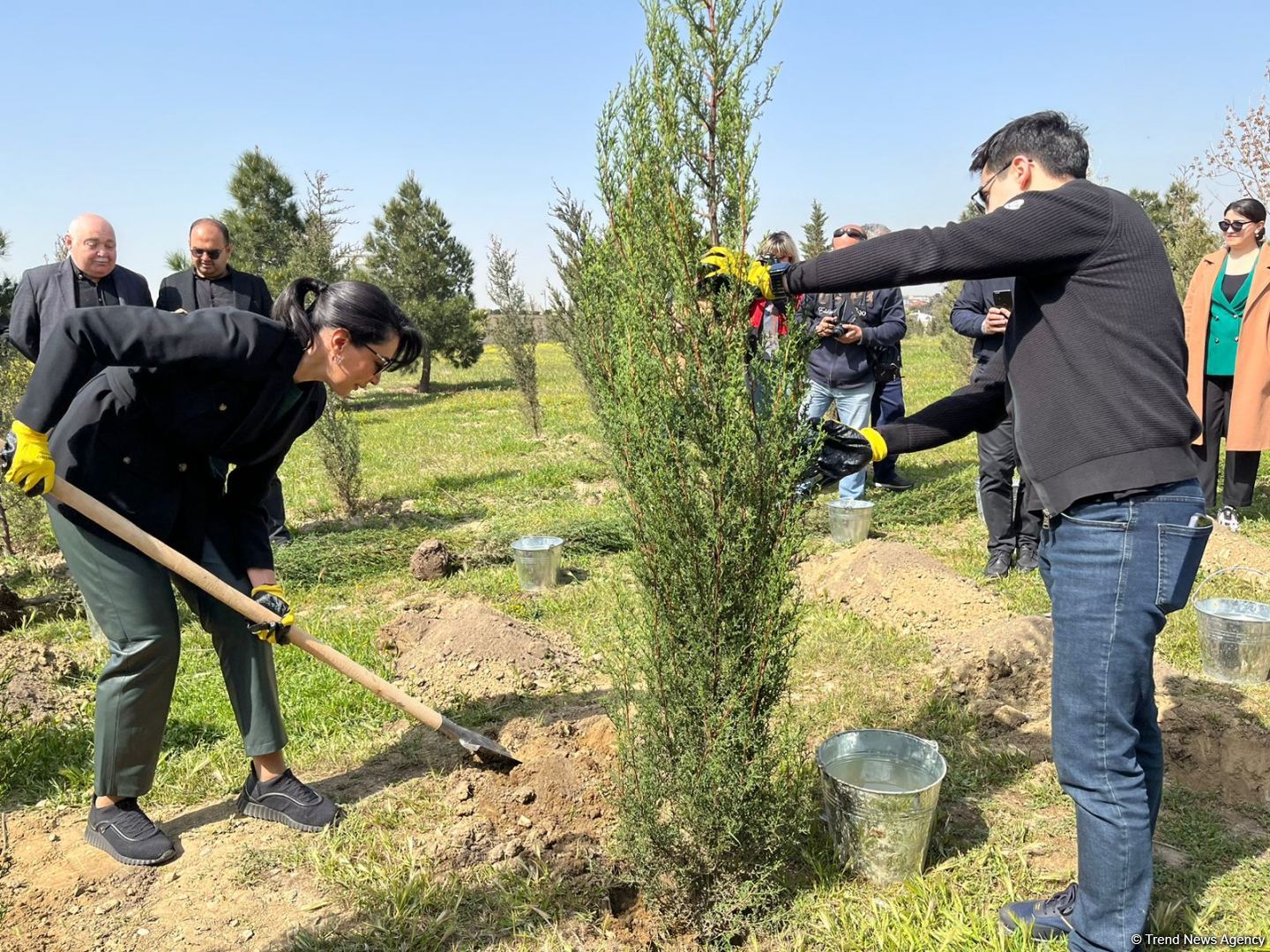 Ulu öndər Heydər Əliyevin 100 illiyinə həsr olunmuş ağacəkmə aksiyası keçirilib (FOTO)