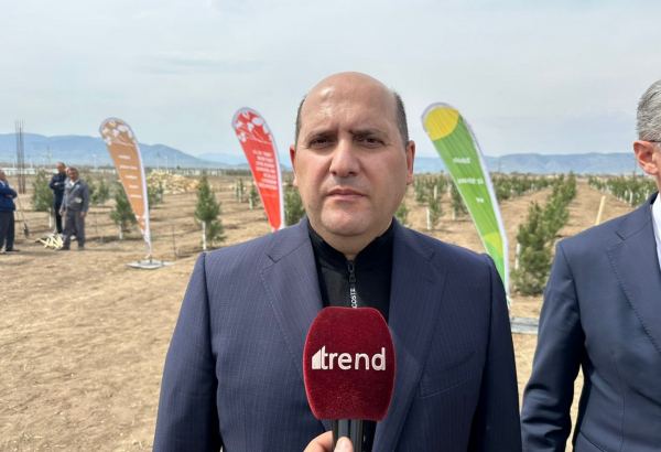 30 illik işğal dövründə düşmən Qarabağda total ekosid törədib - Emin Hüseynov
