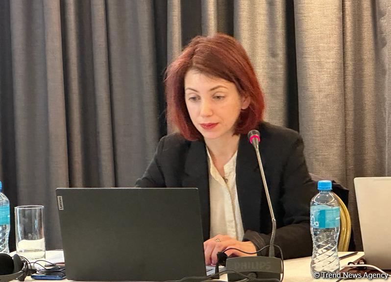 Azərbaycanda pul köçürmələri sahəsində yeni rəqəmsal həllər hazırlanır
