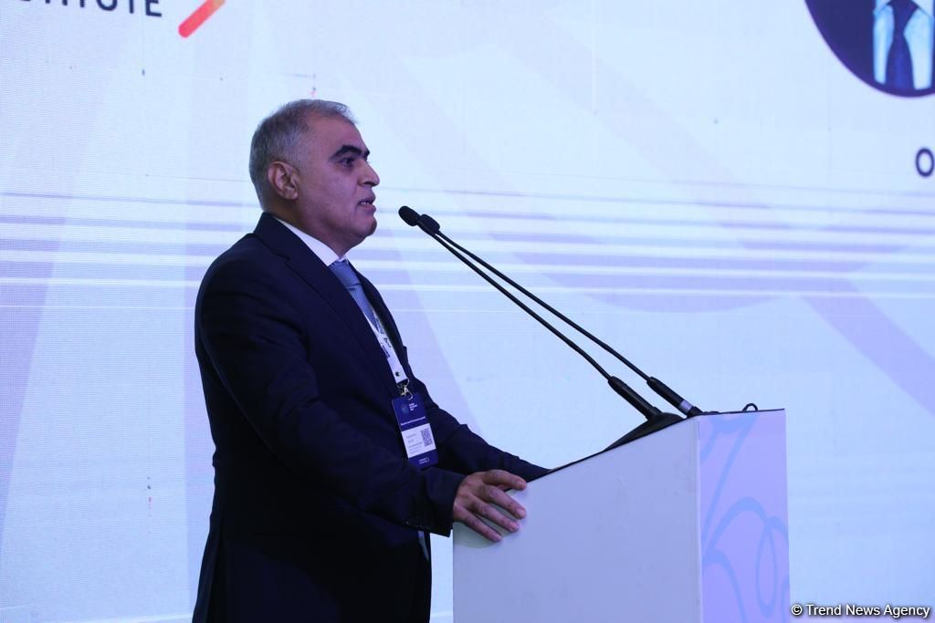 İnsan kapitalının inkişafını uzlaşdırmaq lazımdır - Cəmaləddin Quliyev