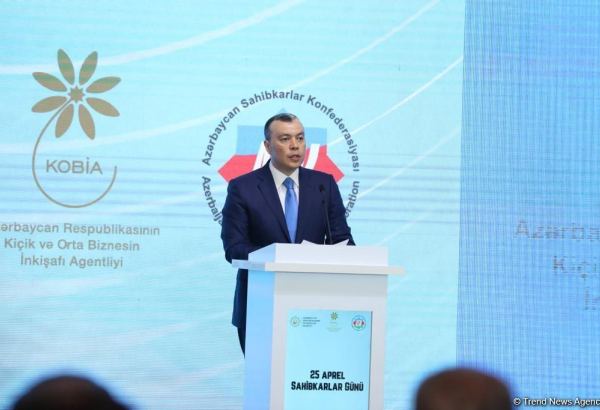 Azərbaycanda əmək münasibətlərinin rəqəmsallaşması istiqamətində işlər görülür - Nazir