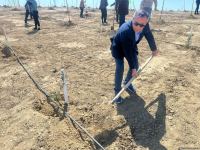 Ulu öndər Heydər Əliyevin 100 illiyi ilə əlaqədar ağacəkmə tədbirinə media nümayəndələri də qoşulub (FOTO)