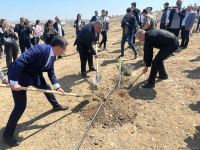 Ulu öndər Heydər Əliyevin 100 illiyi ilə əlaqədar ağacəkmə tədbirinə media nümayəndələri də qoşulub (FOTO)