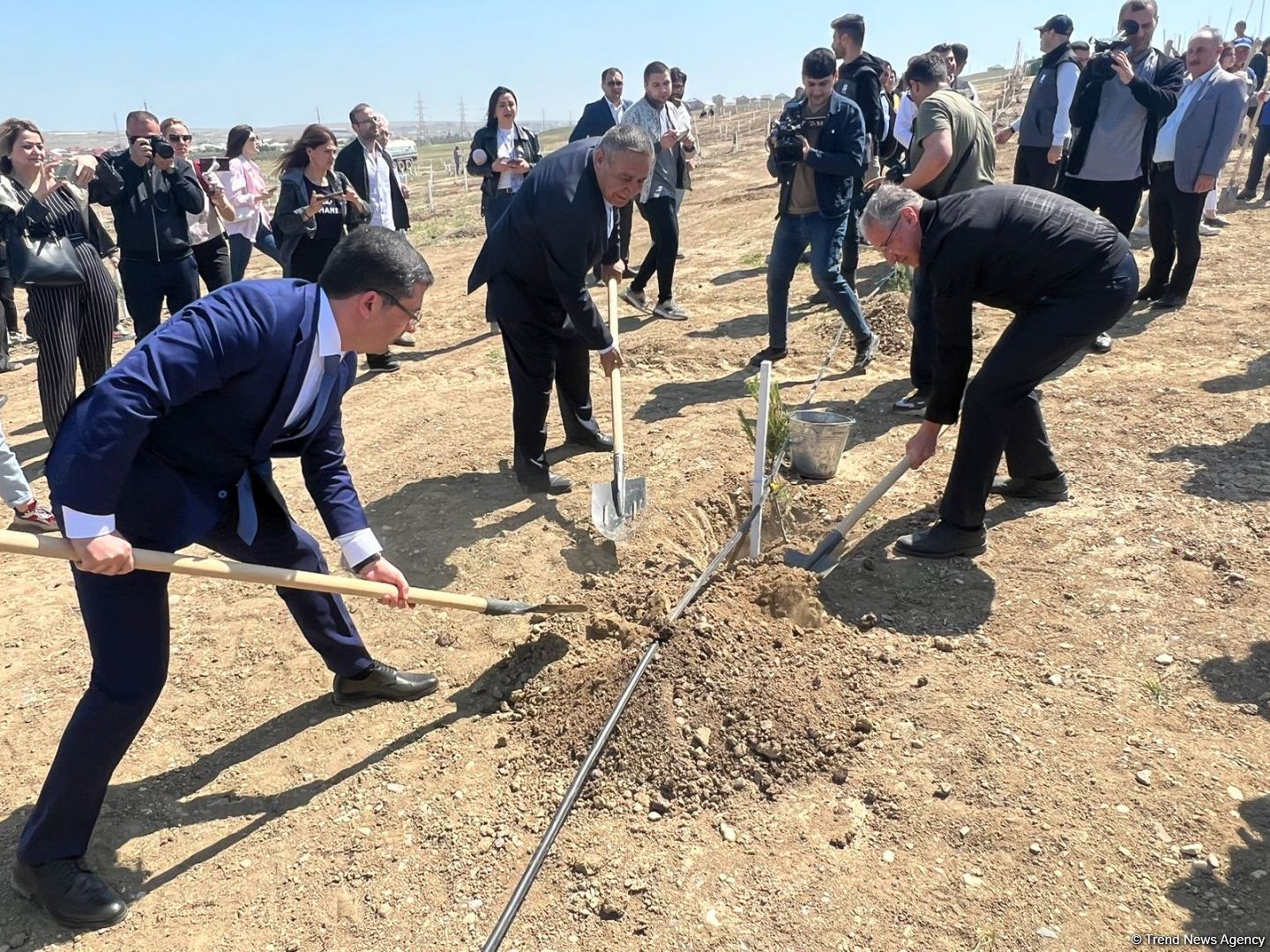 Ulu öndər Heydər Əliyevin 100 illiyi ilə əlaqədar ağacəkmə tədbirinə media nümayəndələri də qoşulub (FOTO)