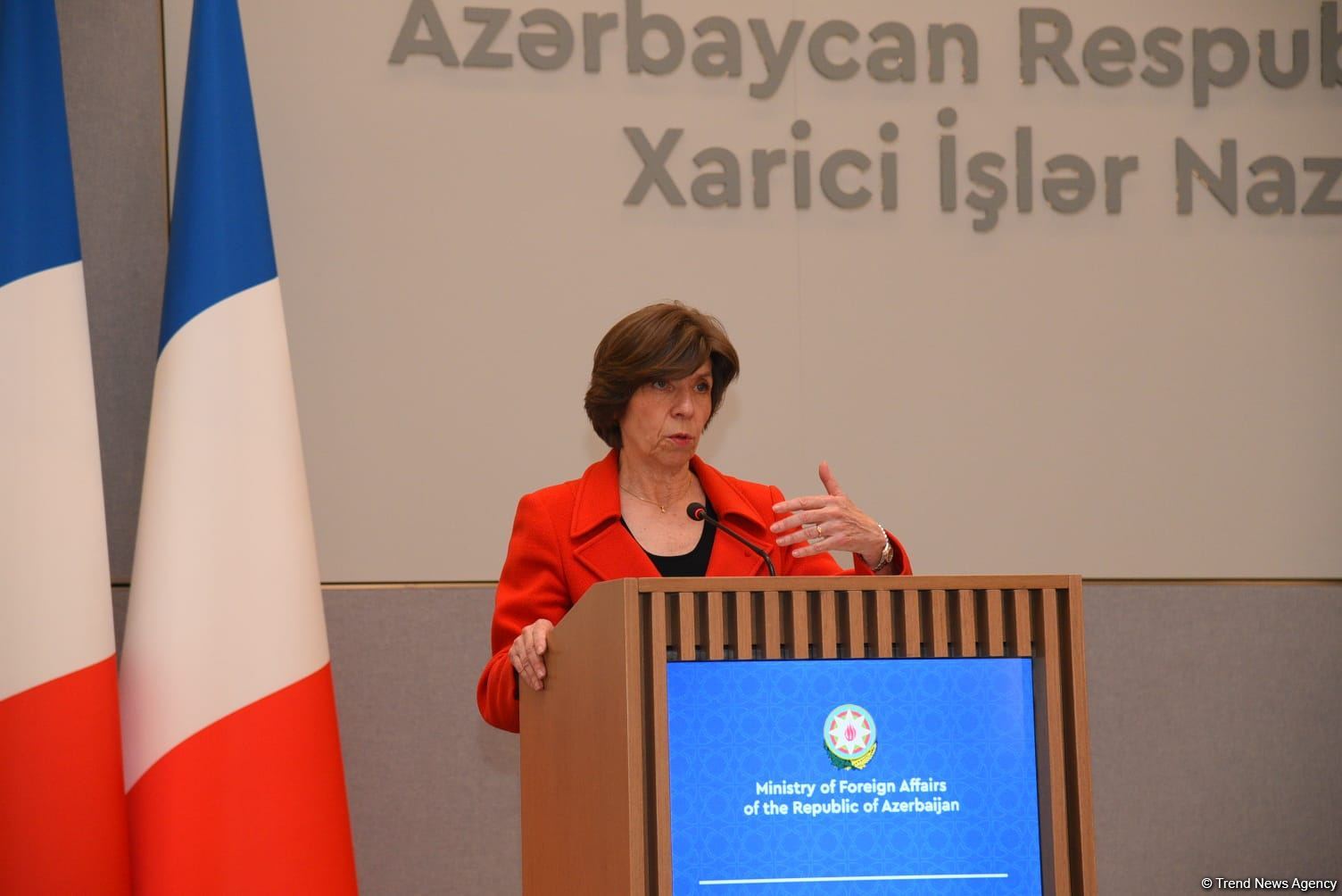 Azərbaycan və Fransa XİN rəhbərlərinin mətbuat konfransı keçirilib (FOTO/VİDEO) (YENİLƏNİB)