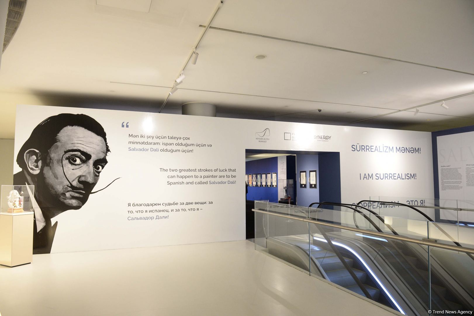 Salvador Dalinin Azərbaycanda ilk dəfə Heydər Əliyev Mərkəzində açılmış sərgisi böyük marağa səbəb olub (VİDEO/FOTO)