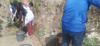 Laçın-Xankəndi yolundakı ekofəallar başa çatan aksiya yerində ağaclar əkib (FOTO)