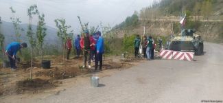 Laçın-Xankəndi yolundakı ekofəallar başa çatan aksiya yerində ağaclar əkib (FOTO)