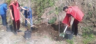 Laçın-Xankəndi yolundakı ekofəallar başa çatan aksiya yerində ağaclar əkib (FOTO)