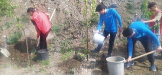 Laçın-Xankəndi yolundakı ekofəallar başa çatan aksiya yerində ağaclar əkib (FOTO)
