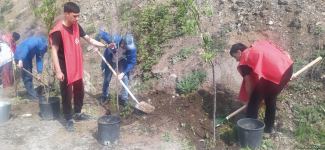 Laçın-Xankəndi yolundakı ekofəallar başa çatan aksiya yerində ağaclar əkib (FOTO)