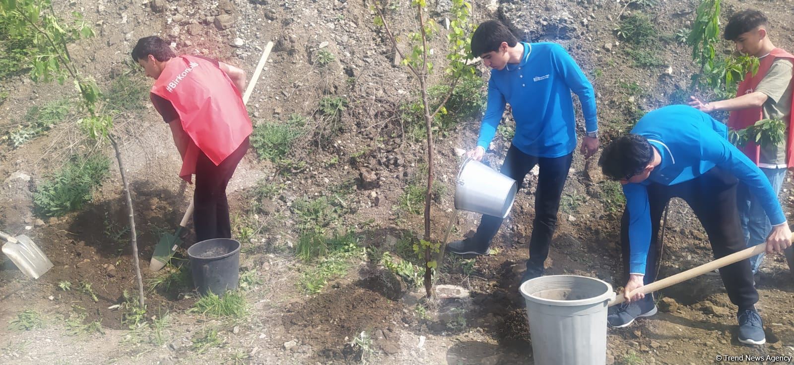 Laçın-Xankəndi yolundakı ekofəallar başa çatan aksiya yerində ağaclar əkib (FOTO)