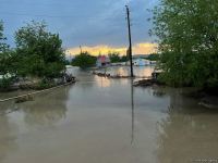 Sel Tərtərdə fəsad törədib (FOTO)