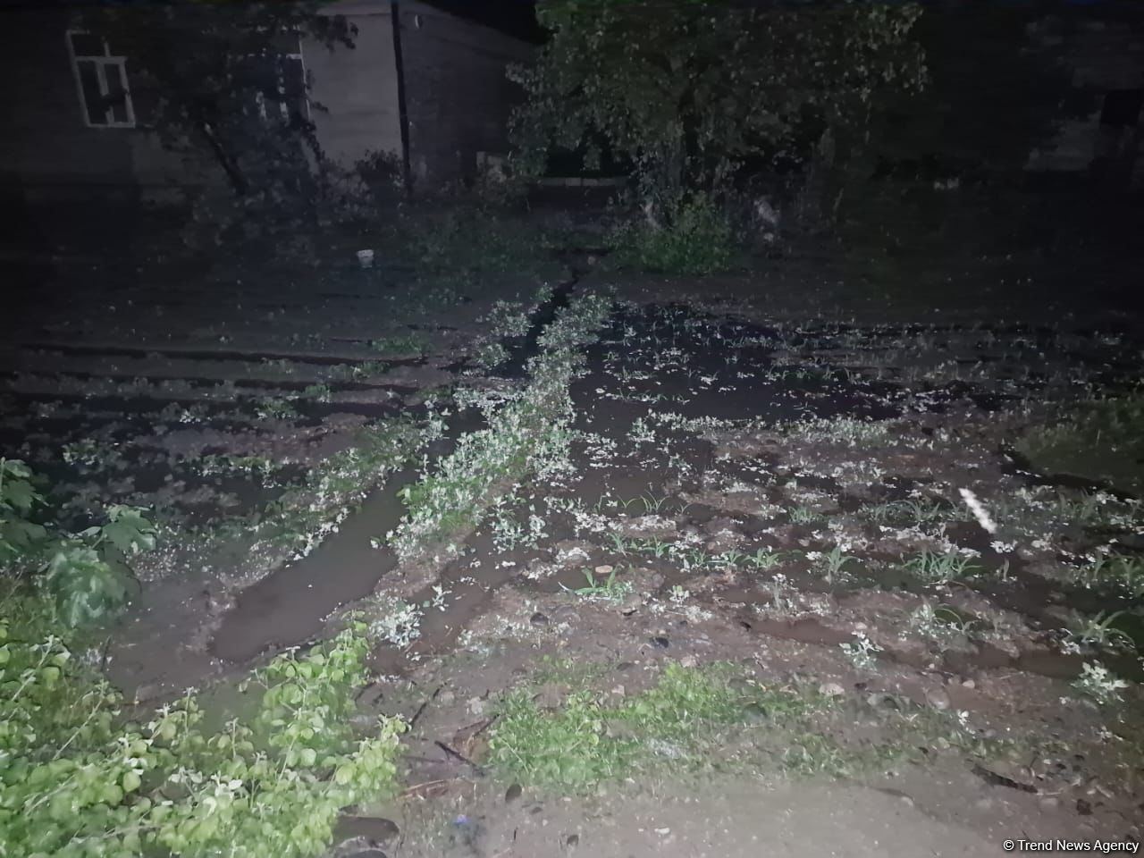 Tərtəri su basıb (FOTO)