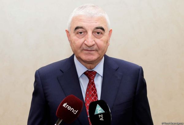 Azərbaycan Özbəkistandakı referendumda 30-dan çox məntəqədə müşahidə aparıb - Məzahir Pənahov