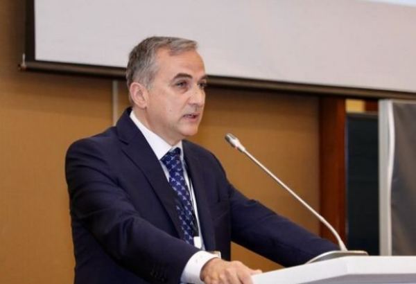 Afrika ölkələri Azərbaycanın ərazi bütövlüyünü dəstəklədilər -  Fərid Şəfiyev
