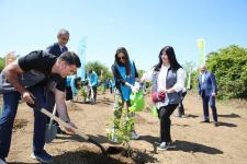 Leyla Əliyeva Ulu Öndərin 100 illiyinə həsr edilən ekoloji aksiyalarda iştirak edib (FOTO)