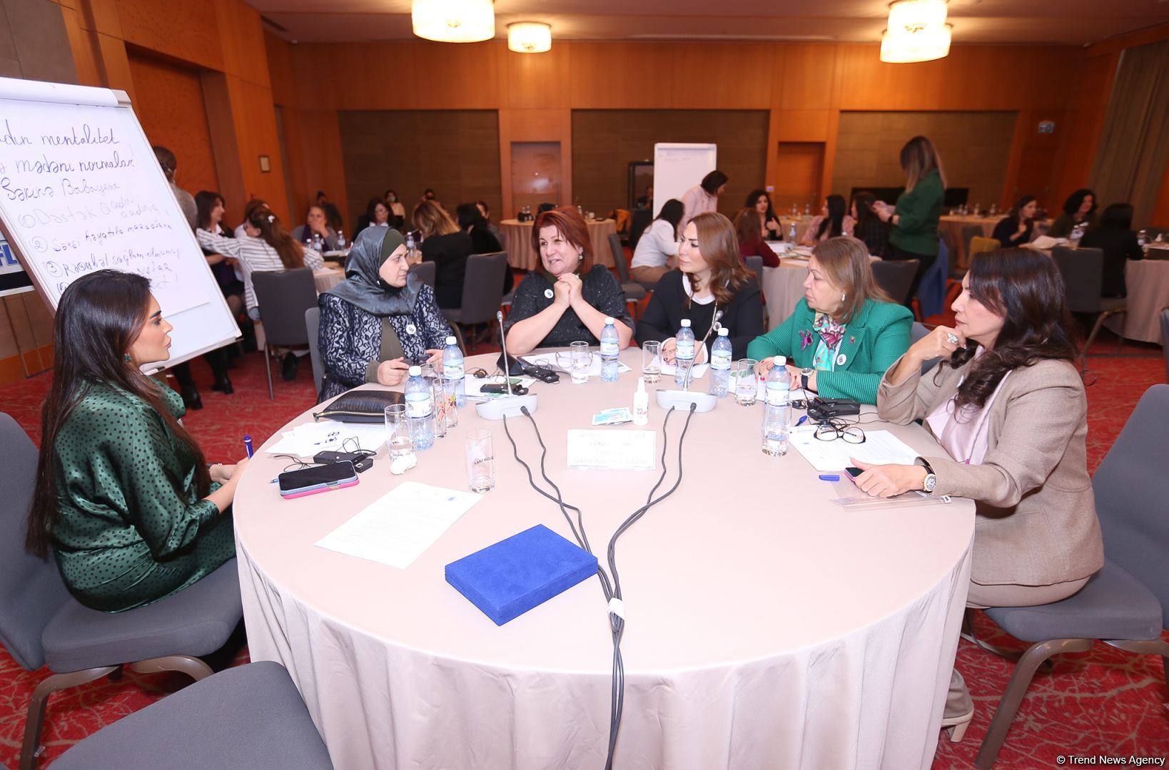 Kənd qadınları yeni üsullarla bizneslərini inkişaf etdirə bilərlər - Qadınların Milli Biznes Gündəliyi (FOTO)