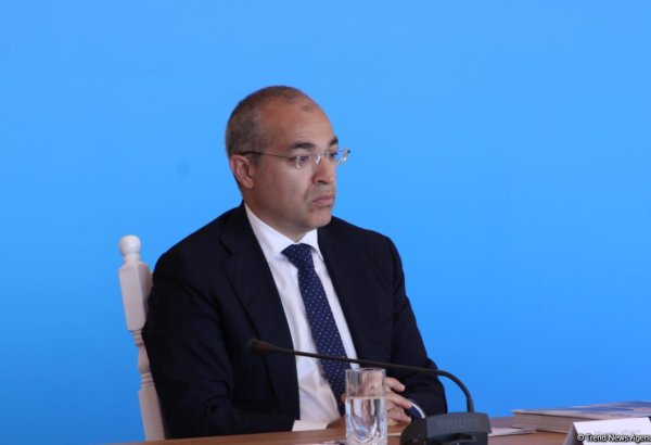 Dövlət-özəl sektor tərəfdaşlığının inkişafı effektiv nəticələr verir - Mikayıl Cabbarov (FOTO)