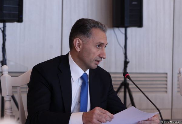 Azərbaycan beynəlxalq məsləhətçiləri də təyyarə qəzasının araşdırılması prosesinə cəlb edib - Nazir