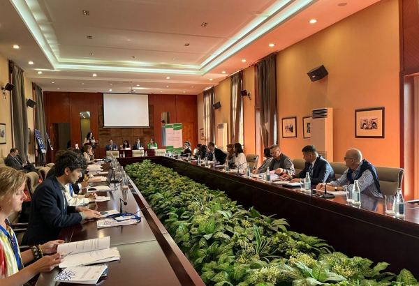 Dünya mədəni irsi bir sıra çağırışlarla üz-üzədir - ICOMOS-un prezidenti