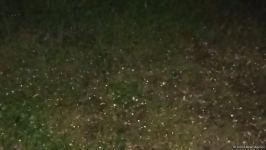 Ağdama dolu yağıb (FOTO/VİDEO)