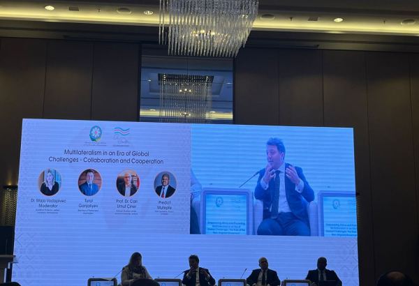 Bütün beynəlxalq təşkilatlar regional əməkdaşlığımıza öz dəstəyini göstərməlidir - Tural Gəncəliyev