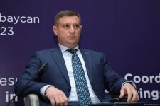 Sağlamlıq müəssisələrinin hər birində psixoloji dəstəklə məşğul olan şəxslər olmalıdır - Komitə sədri (FOTO)