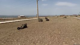 Naxçıvan Əlahiddə Ümumqoşun Ordusu tapşırıqları yüksək peşəkarlıqla yerinə yetirir (REPORTAJ)