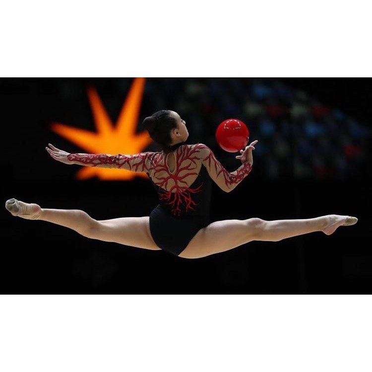 Birinci vitse-prezident Mehriban Əliyeva Avropa çempionatının qalibi olan gimnastlarımızı təbrik edib (FOTO)