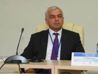 Bakıda I Qarabağ müharibəsində itkin düşənlərlə bağlı beynəlxalq konfrans keçirilir (FOTO)