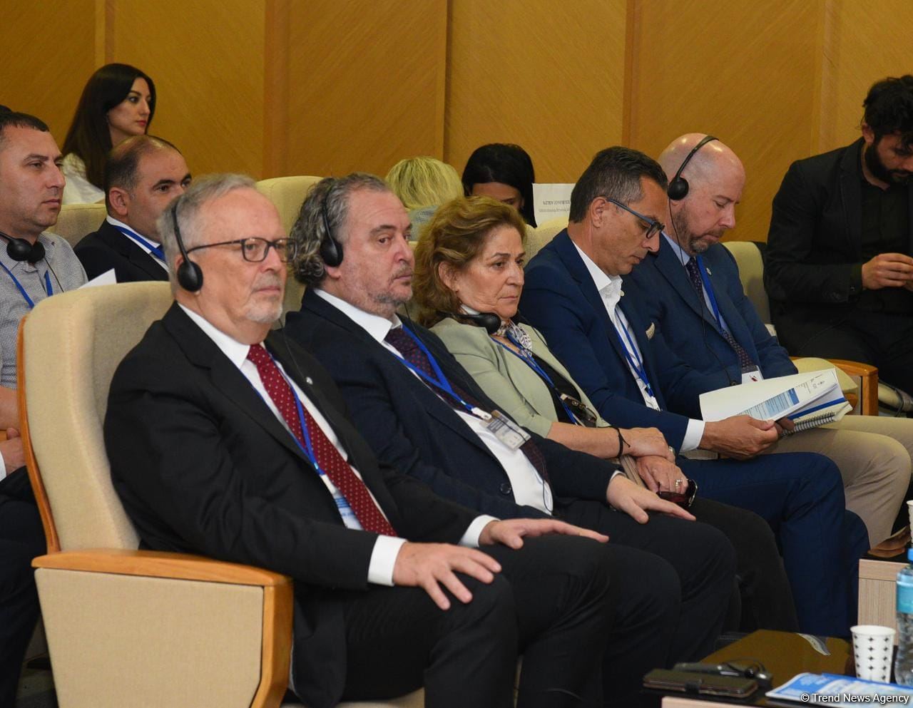 Bakıda I Qarabağ müharibəsində itkin düşənlərlə bağlı beynəlxalq konfrans keçirilir (FOTO)