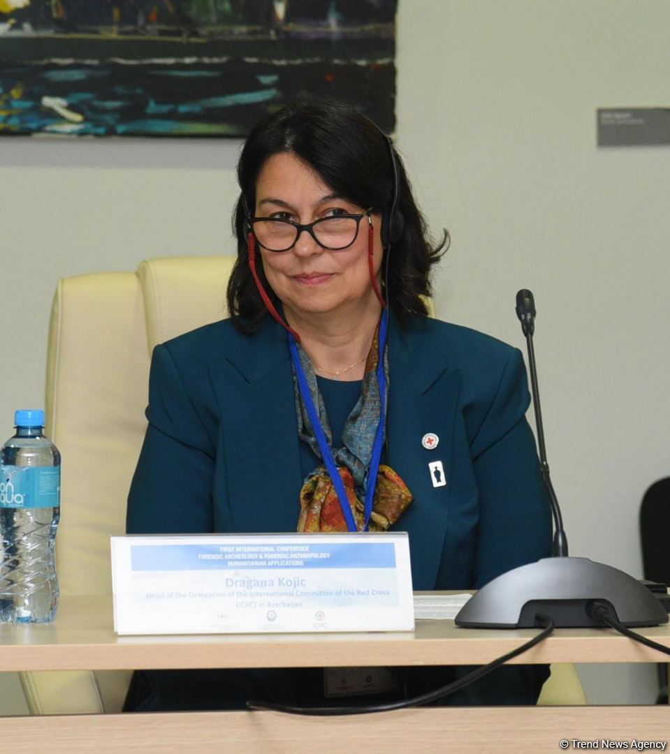 Bakıda I Qarabağ müharibəsində itkin düşənlərlə bağlı beynəlxalq konfrans keçirilir (FOTO)